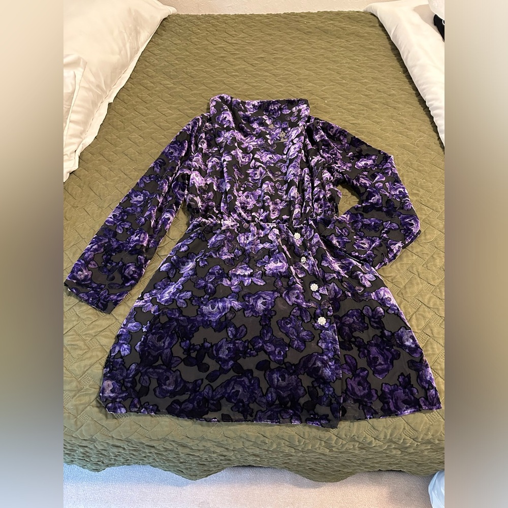 NWT. ZARA- velvet trim jewel button dress